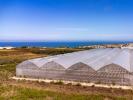 Annonce Vente Terrain MAFRA