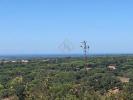 Annonce Vente Terrain GRANDOLA