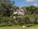 Acheter Maison PALMELA rgion SETUBAL