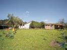 Acheter Terrain 32767 m2 AGUA-FORMOSA