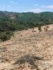 Vente Terrain TAVIRA 8800