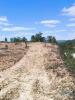 Annonce Vente Terrain TAVIRA
