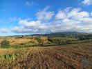 Acheter Terrain 3680 m2 CADAVAL