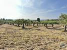 Annonce Vente Terrain CELORICO-DA-BEIRA