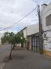 Annonce Vente Maison ALTER-DO-CHAO