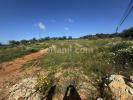 Acheter Terrain 4332 m2 SILVES