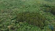 Annonce Vente Terrain FERREIRA-DO-ZEZERE