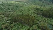 Acheter Terrain FERREIRA-DO-ZEZERE rgion SANTAREM