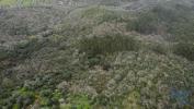 Acheter Terrain FERREIRA-DO-ZEZERE rgion SANTAREM