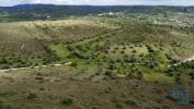 Annonce Vente Terrain FERREIRA-DO-ZEZERE