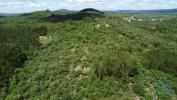 Annonce Vente Terrain FERREIRA-DO-ZEZERE