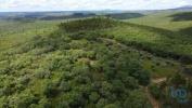 Annonce Vente Terrain FERREIRA-DO-ZEZERE