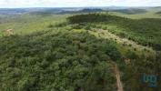 Acheter Terrain FERREIRA-DO-ZEZERE rgion SANTAREM