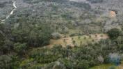 Annonce Vente Terrain FERREIRA-DO-ZEZERE