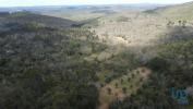 Acheter Terrain 2960 m2 FERREIRA-DO-ZEZERE