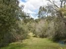 Acheter Terrain FERREIRA-DO-ZEZERE rgion SANTAREM