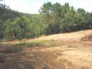 Acheter Terrain CALDAS-DA-RAINHA