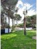 Louer Maison LOULE rgion FARO