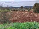 Acheter Terrain 12948 m2 MARVAO