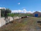 Acheter Terrain 300 m2 FUNDAO