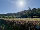 Annonce Vente Terrain PORTO-DE-MOS