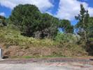 Acheter Terrain OUREM rgion SANTAREM