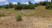 Annonce Vente Terrain PORTIMAO