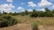 Acheter Terrain 2000 m2 PORTIMAO