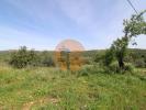 Annonce Vente Terrain LOULE