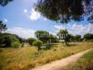 Acheter Terrain 2000 m2 FARO