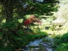 Annonce Vente Terrain BOMBARRAL