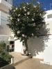 Louer Maison ALCANTARILHA rgion FARO
