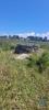 Acheter Terrain ODEMIRA rgion BEJA