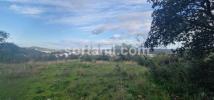 Vente Terrain SAO-BRAS-DE-ALPORTEL 8150