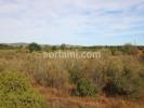 Acheter Terrain ALBUFEIRA rgion FARO