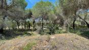 Acheter Terrain 16070 m2 QUINTA-DO-LAGO