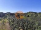 Acheter Terrain 32767 m2 TAVIRA