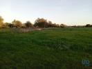 Annonce Vente Terrain SANTAREM