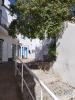 Annonce Vente Maison TAVIRA