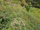 Acheter Terrain 3370 m2 SANTA-CRUZ