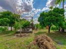 Acheter Terrain 1480 m2 TOMAR