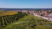 Annonce Vente Terrain A-DOS-NEGROS