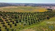 Acheter Terrain A-DOS-NEGROS rgion LEIRIA