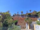 Acheter Terrain CANICO rgion MADEIRA