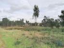 Annonce Vente Terrain LEIRIA