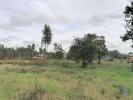 Acheter Terrain 2619 m2 LEIRIA