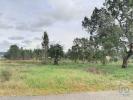 Acheter Terrain LEIRIA rgion LEIRIA