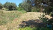 Acheter Terrain 2250 m2 SAO-BRAS-DE-ALPORTEL