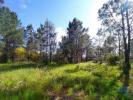 Acheter Terrain 198 m2 ALJEZUR