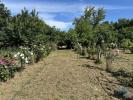 Acheter Terrain 259 m2 SANTAREM